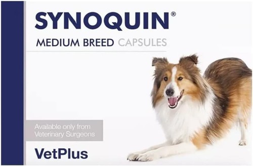 Synoquin joint supplement for - synoquin,