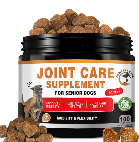 Senior dog joint - dog,
