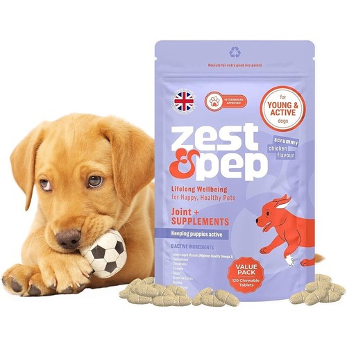 Dog joint care - dog,