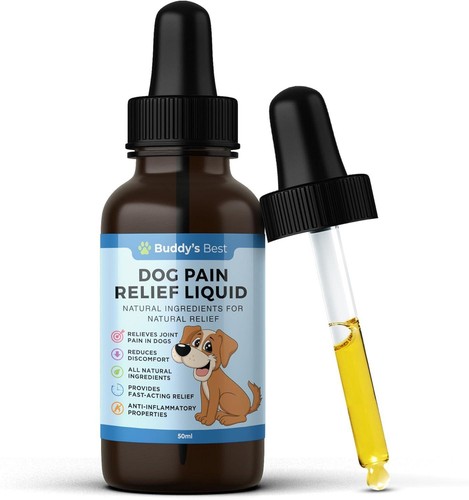 Dog joint pain inflammation - pain, &