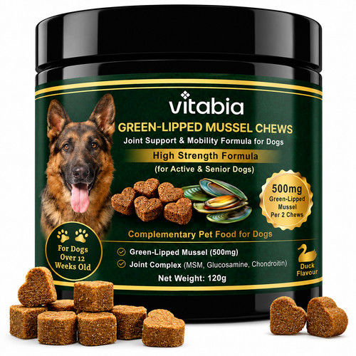 Green lipped mussel dog chews - lipped,