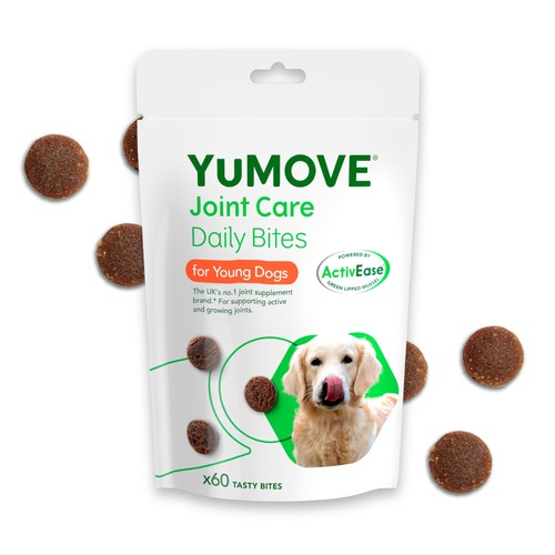 Joint supplement for dogs - supplement,