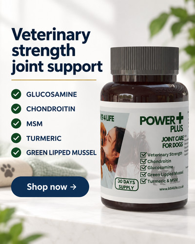 Joint care for dogs - joint,