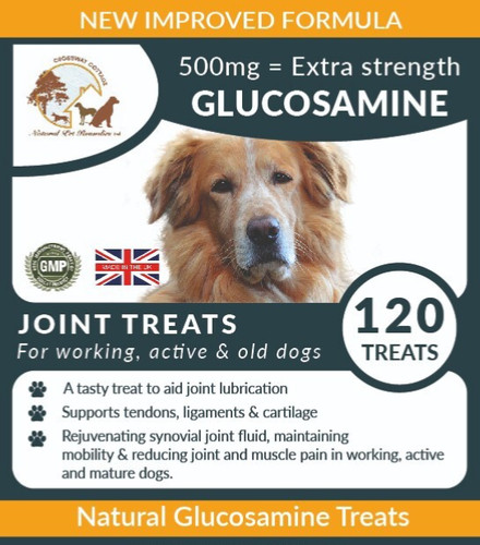 Dog joint supplement for stiff - dog,