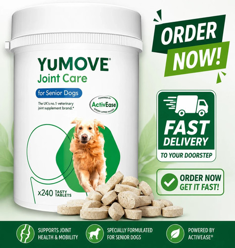 Lintbells yumove senior dog - senior,