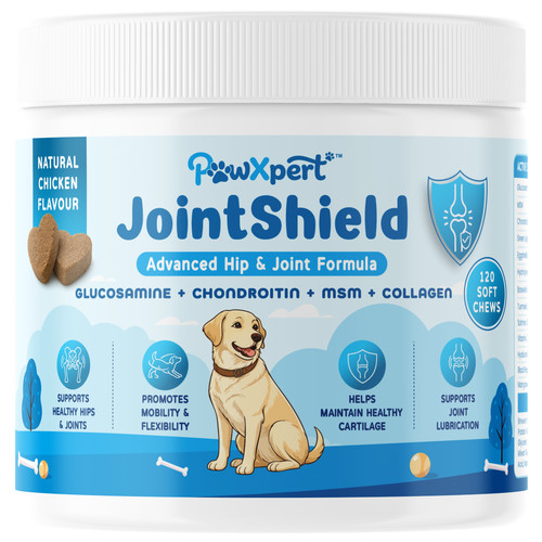 Jointshield dog hip - dog, joint