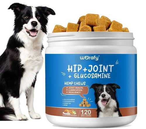 Dog hip joint - hip,