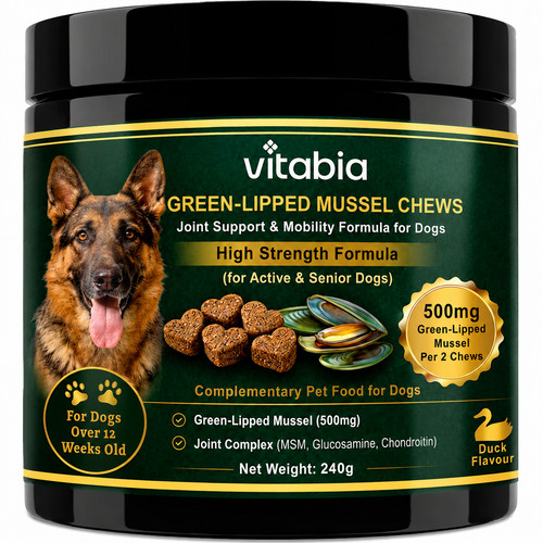 Green lipped mussel dog - green,