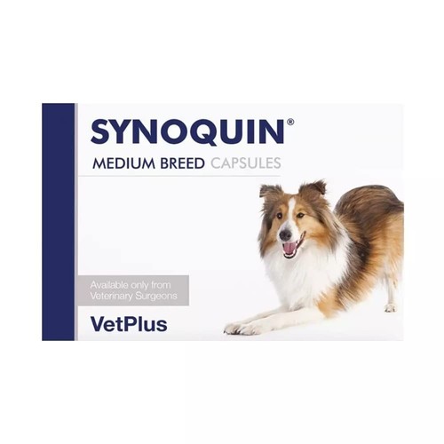 Joint supplement for - joint, dog