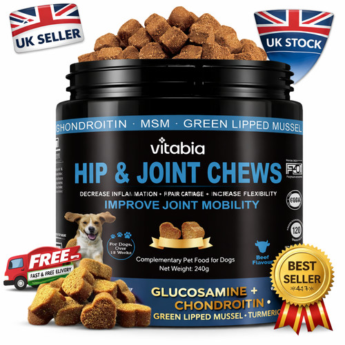 Dog joint supplement for stiff - dog,
