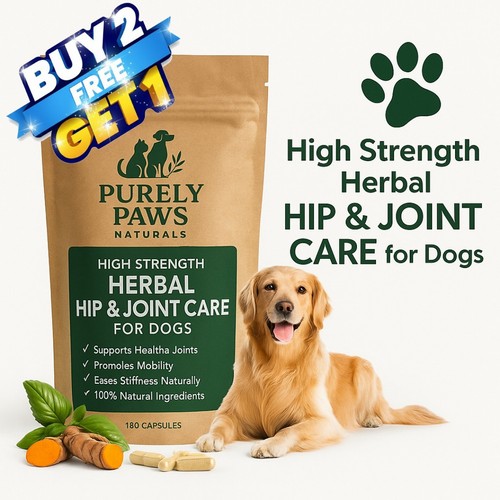 Turmeric dog joint - turmeric,