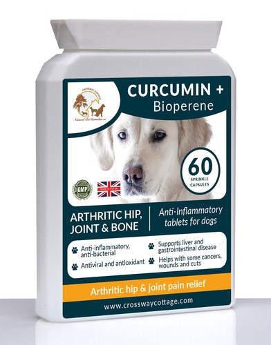 Dog joint supplement for stiff - dog,