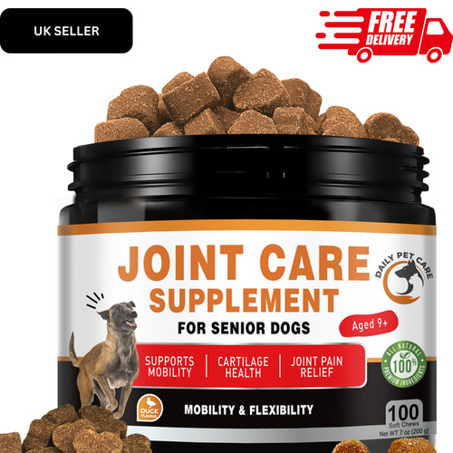 Senior dog supplement - dog,